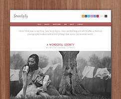 Serendipity - Fully Responsive Wordpress Blog 