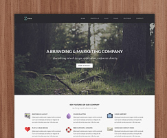 
Zonya - Multipurpose Responsive WordPress Theme